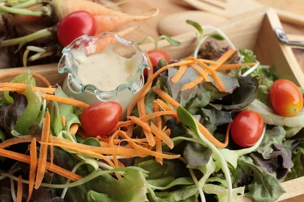 Grönsaker sallad med salladsdressing är läcker — Stockfoto