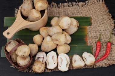 Ahşap arka plan üzerinde yemek için taze mantar.