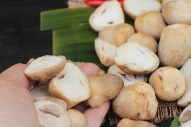 Ahşap arka plan üzerinde yemek için taze mantar.