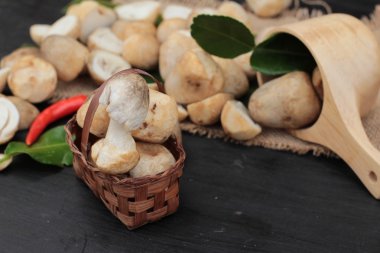 Ahşap arka plan üzerinde yemek için taze mantar.