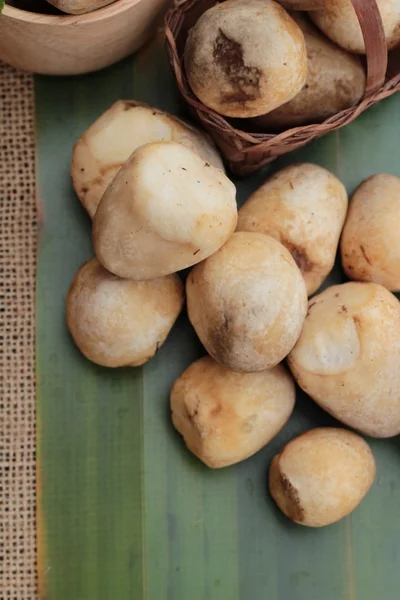 Verse champignons voor koken op hout achtergrond. — Stockfoto