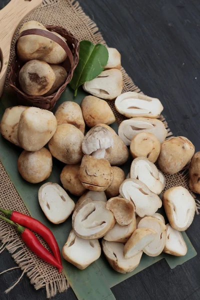 Verse champignons voor koken op hout achtergrond. — Stockfoto