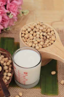 Soya sütü soya tohumu ile lezzetlidir