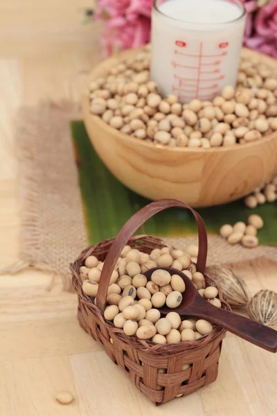 La leche de soja es deliciosa con semillas de soja —  Fotos de Stock