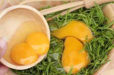 Omlet yemek pişirmek için yumurta ve sebze akasya pennata.