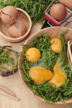 Omlet yemek pişirmek için yumurta ve sebze akasya pennata.