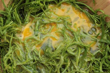 Omlet yemek pişirmek için yumurta ve sebze akasya pennata.