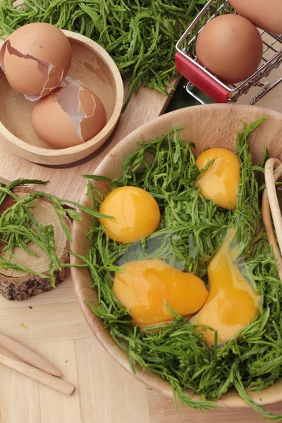 Omlet yemek pişirmek için yumurta ve sebze akasya pennata.