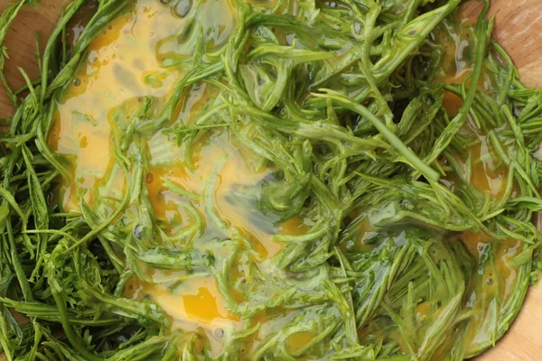 Omlet yemek pişirmek için yumurta ve sebze akasya pennata.