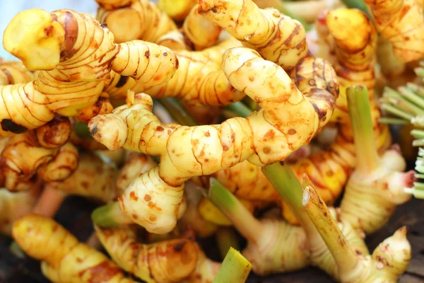 Ginger root in the market — Stock Photo, Image