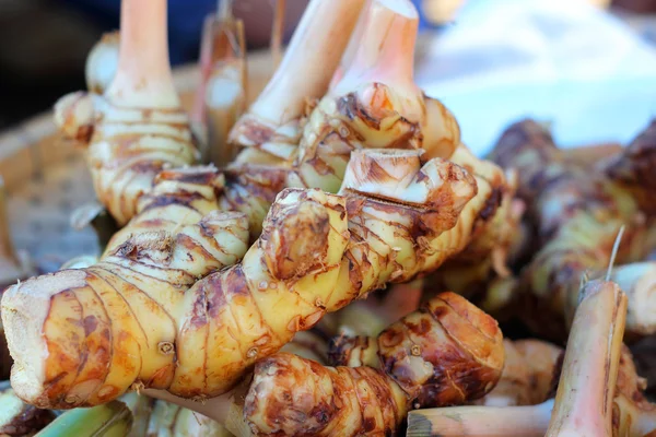 Racine de gingembre sur le marché — Photo