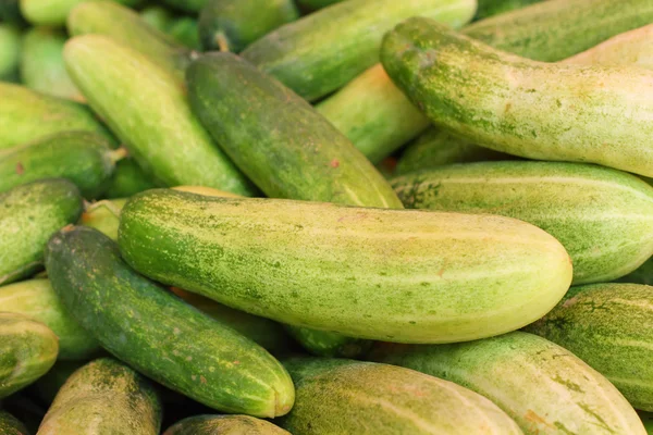 Frische Gurken auf dem Markt — Stockfoto