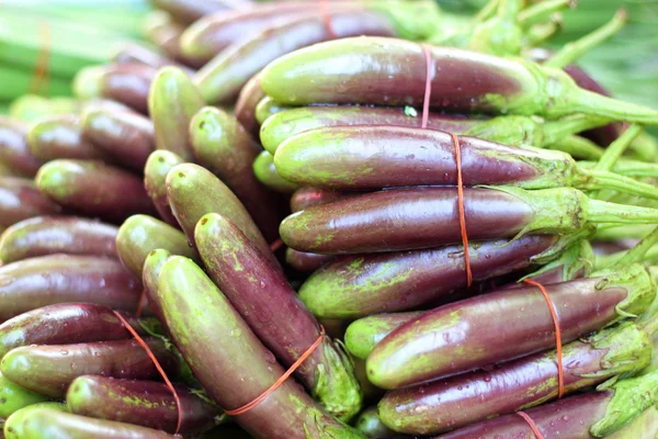 Berenjena púrpura en la naturaleza — Foto de Stock