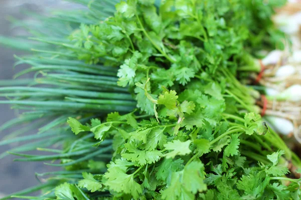 Färska grönsaker - grön lök och koriander i marknaden. — Stockfoto