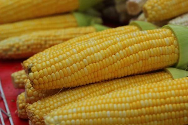 Sweet corn in the market — Stock Photo, Image