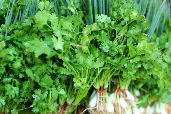 Produtos hortícolas frescos - cebola verde e coentros no mercado . — Fotografia de Stock