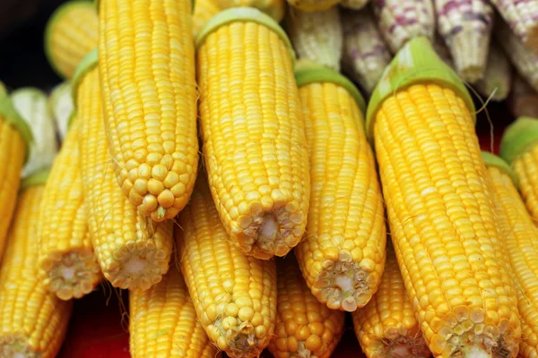 Söt majs på marknaden — Stockfoto