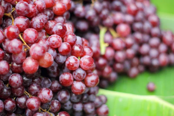 Fechar a uva de frutas frescas na natureza — Fotografia de Stock