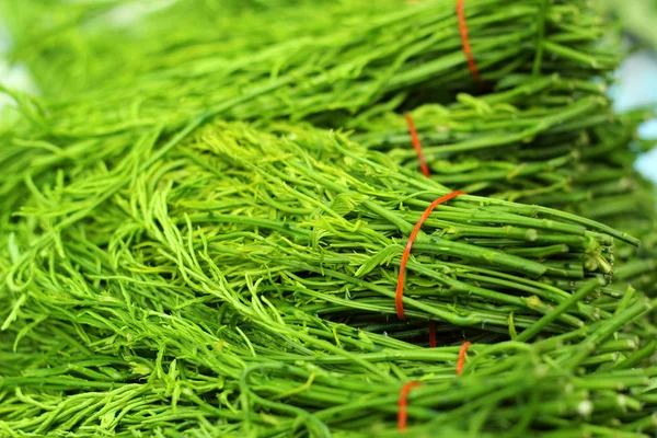 Acacia pennata i thailändska färskvarumarknaden — Stockfoto