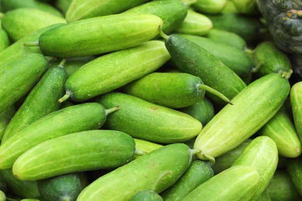 Pepino fresco en el mercado —  Fotos de Stock