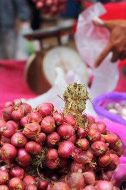 soğancık - Pazar Asya kırmızı soğan