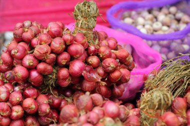soğancık - Pazar Asya kırmızı soğan