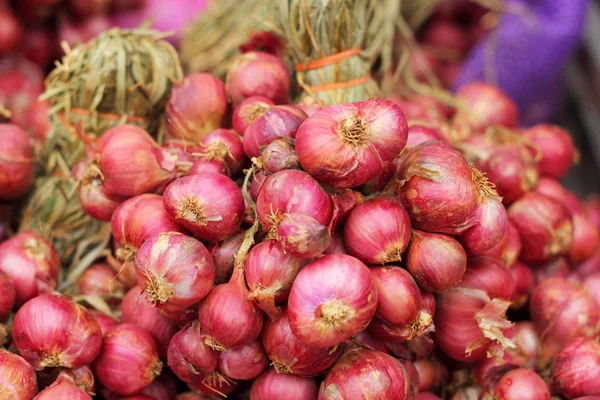 Shallot - cebolla roja de asia en el mercado — Foto de Stock