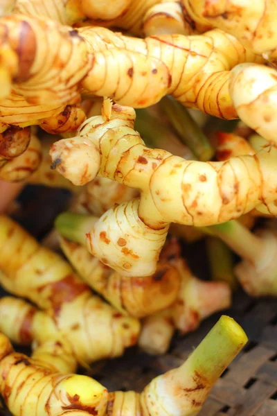 Racine de gingembre sur le marché — Photo