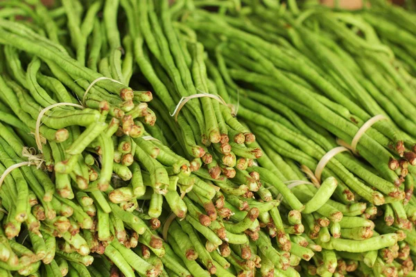 Long bean in the market — Stock Photo, Image