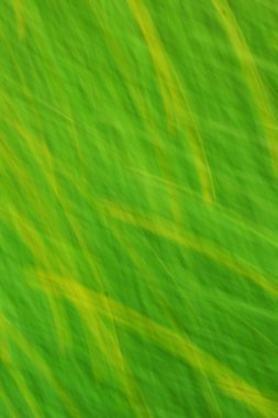 bulanık ışık trails - arka plan Güzellik