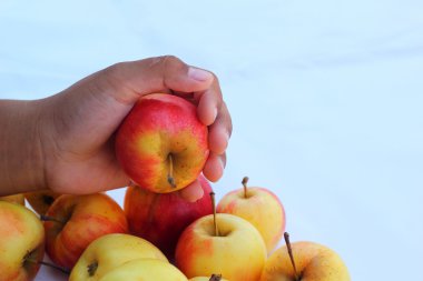 Kırmızı elma elinde taze.