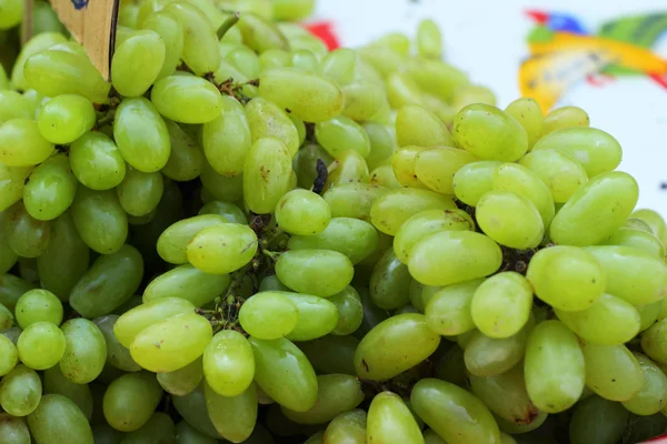 Fresh grapes on the tray — Stock Photo, Image