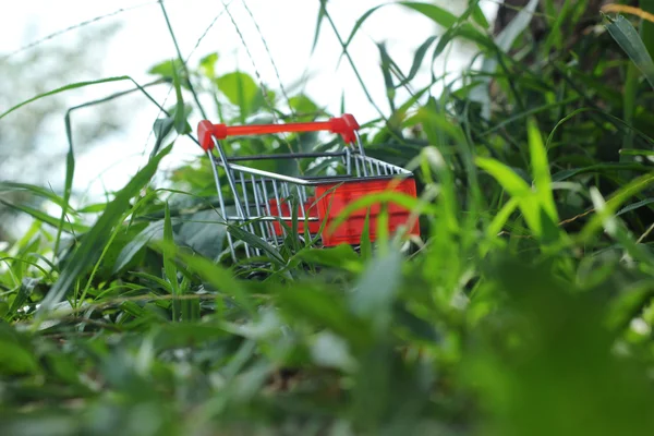 Carrinho de compras com na natureza - carro de compras . — Fotografia de Stock