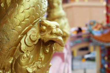 tapınağın ejderha