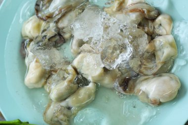 Buz ile plaka üzerinde taze istiridye.