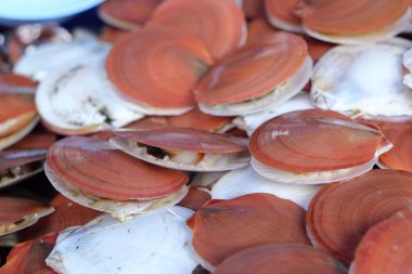 Markette taze deniz ürünleri