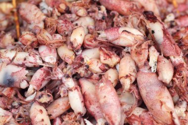 kurutulmuş kalamar yakın çekim