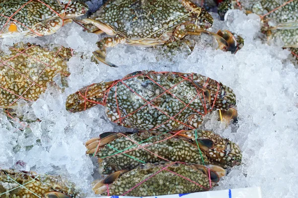 Fresh crab at the market — Stock Photo, Image