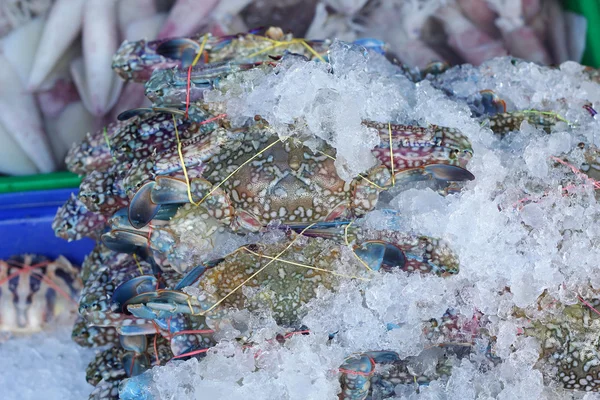 Fresh crab at the market — Stock Photo, Image