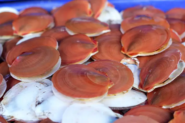 Fresh shellfish at the market — Stock Photo, Image