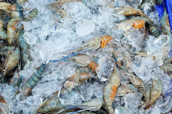 Fresh shrimp in the market — Stock Photo, Image