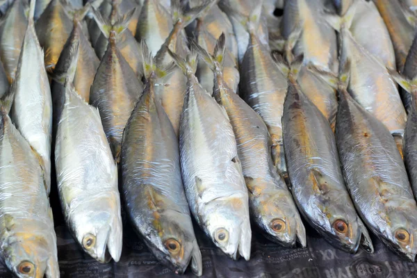 Pesce fresco al mercato — Foto Stock