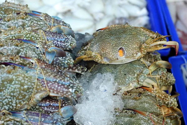 Markette taze Yengeç