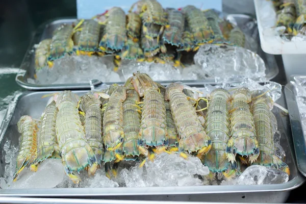 Fresh mantis shrimp on ice