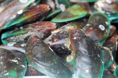 Markette taze deniz ürünleri