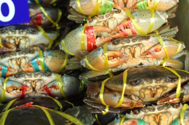 Markette taze Yengeç