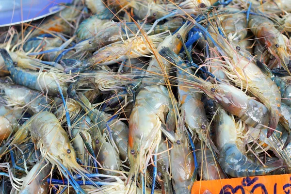 Udang segar di pasar — Stok Foto