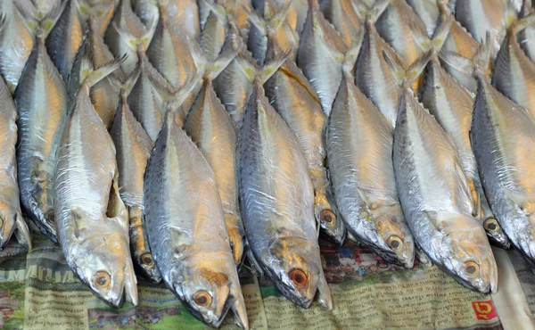 Fresh fish at the market — Stock Photo, Image