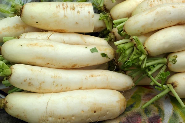 Frischer Rettich auf dem Markt — Stockfoto