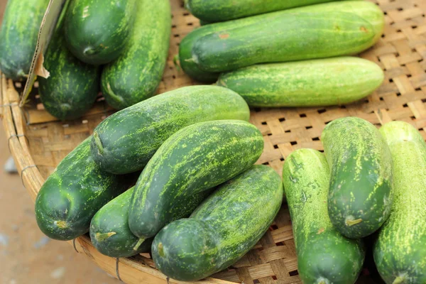 Fresh cucumber in the market — Stock Photo, Image